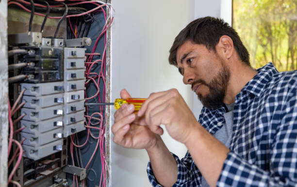 Best Electrical System Inspection  in Erwinville, LA